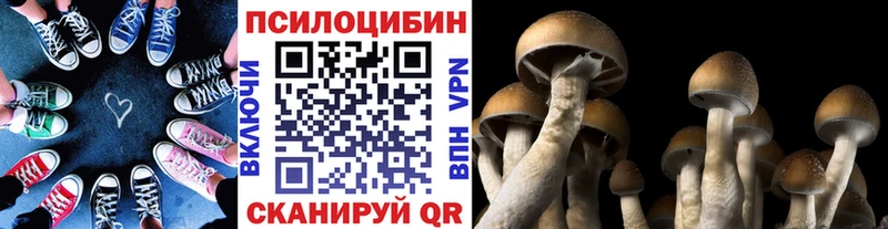 Галлюциногенные грибы Magic Shrooms  МЕГА как зайти  Алзамай 